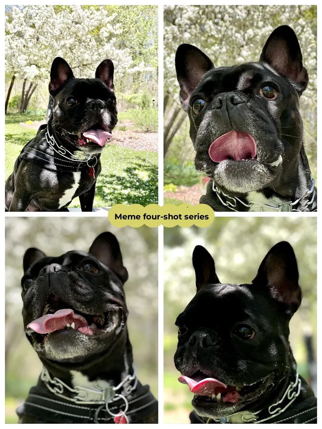 "Where to Go for Fun in Chicago This Weekend"