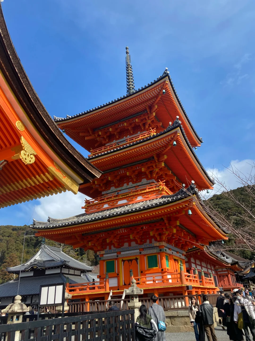 Who Doesn't Love Kyoto? 🌟 Mega Detailed Travel Guide!