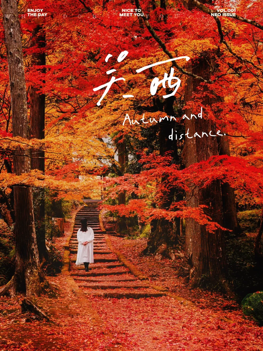 Catching the Last Glimpse of Autumn | Real-Time Photos of Kansai's Fall Foliage Spots