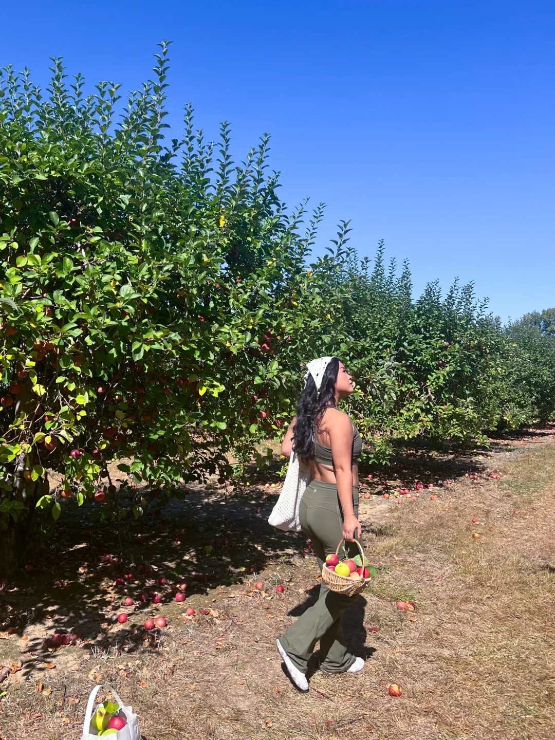 "Romantic Autumn: Let’s Go Apple Picking Around Columbus! 🍎"
