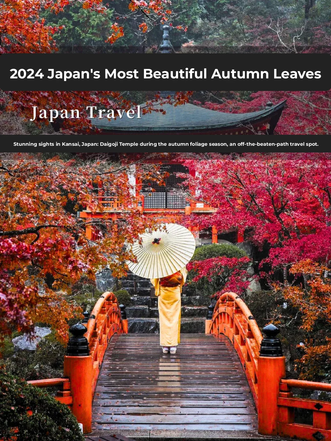 Oh? There's This Place for Viewing Fall Foliage in Japan?! Why Didn't Anyone Tell Me Sooner!