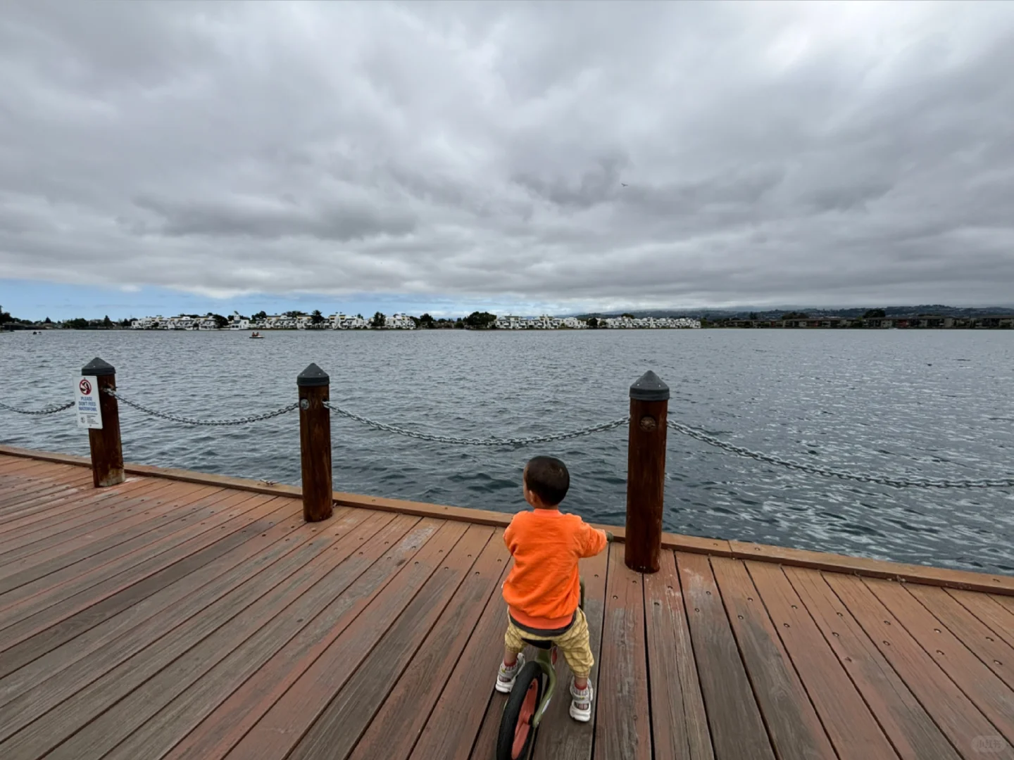 "Peninsula Day Trip with the Kids: Exploring San Mateo and Foster City"