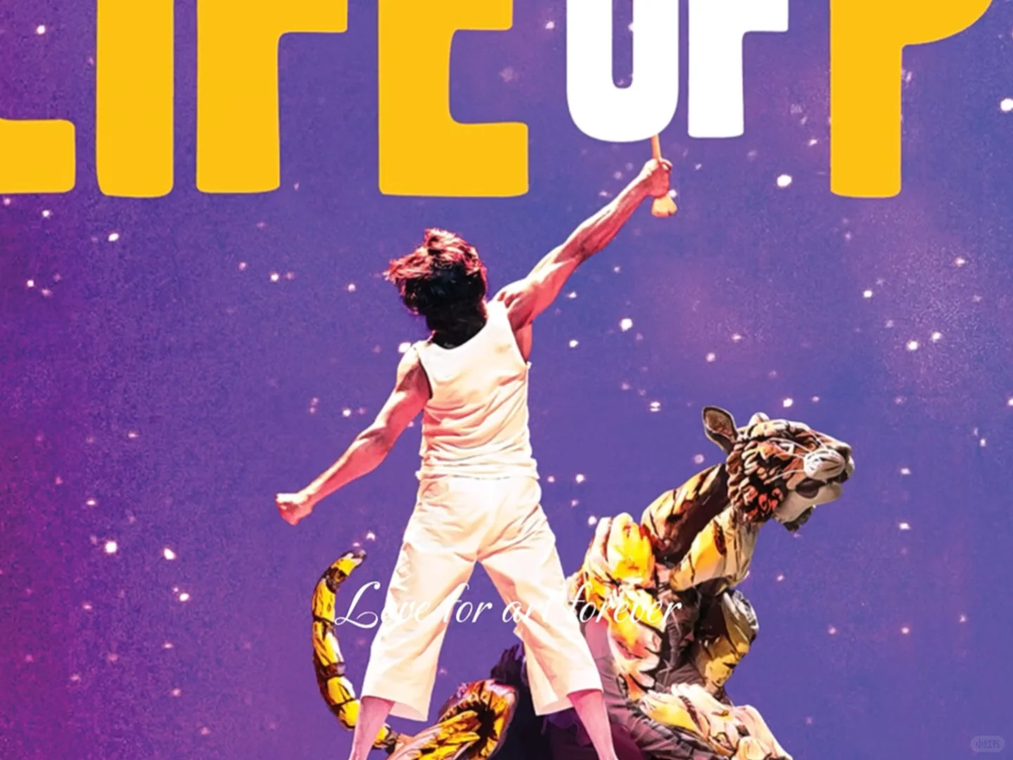 #Boyhood#Theater#Denver#VisualExtravaganza