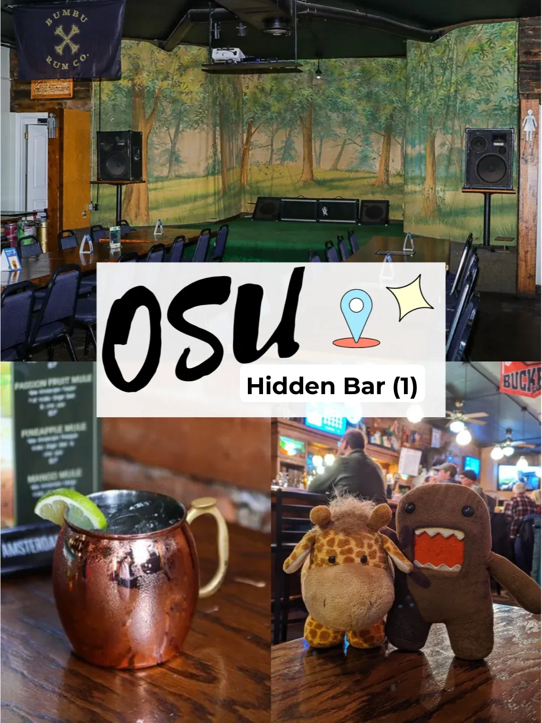 🍸 OSU | Exploring Hidden Bars in Columbus
