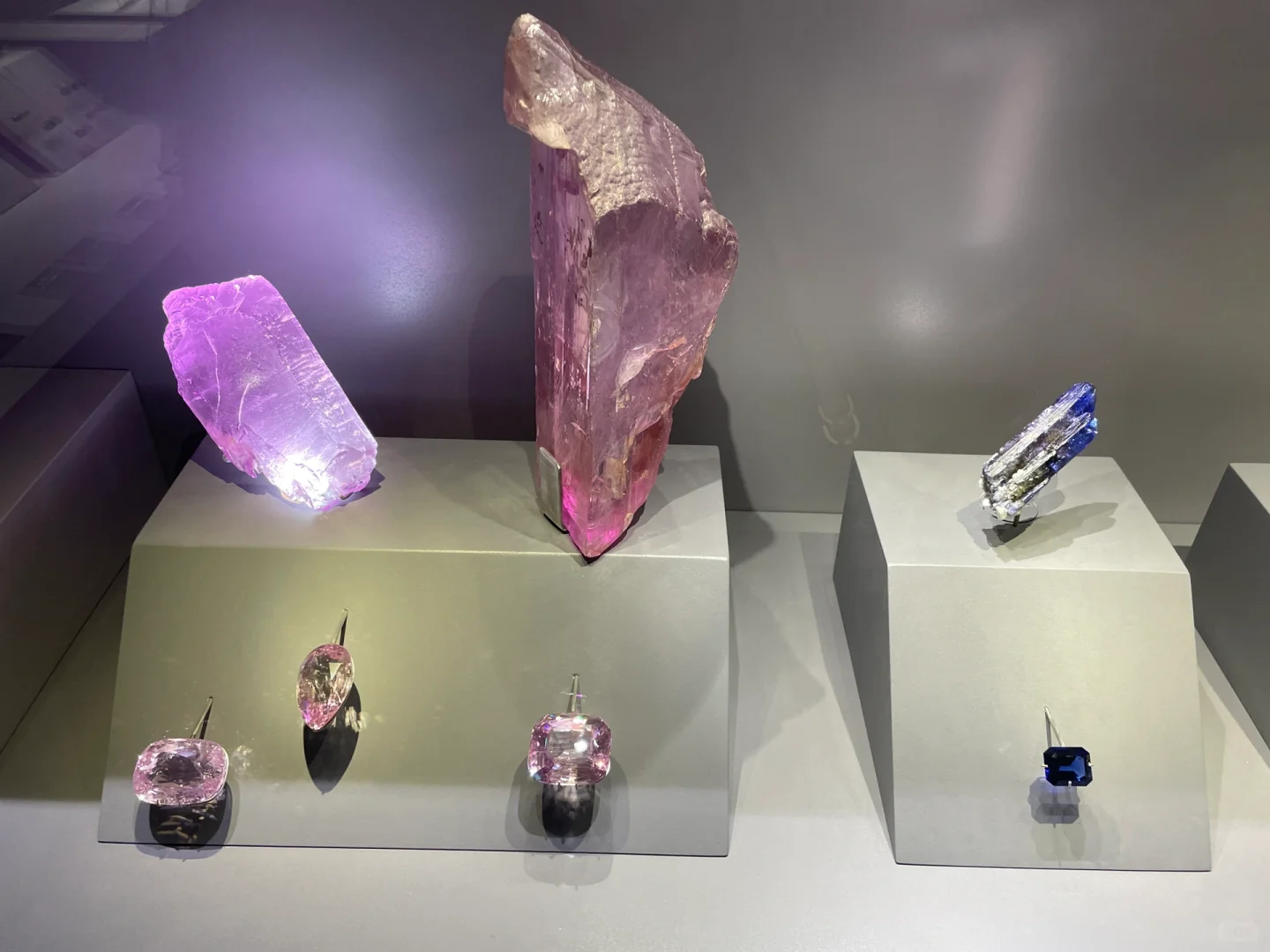 Paris Museum of Natural History