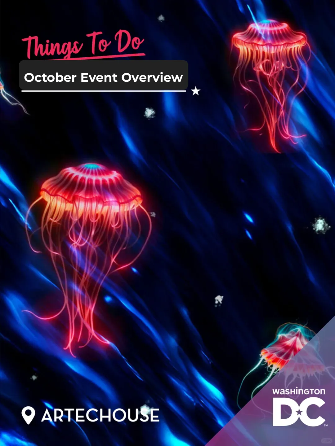 Highlights of Exciting Events in DC This October