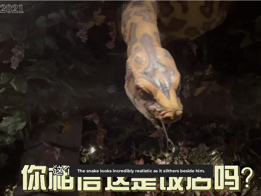 "Would You Dare to Dine at a Restaurant Like This?"