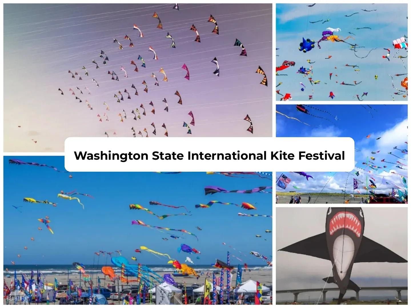 Washington State International Kite Festival (WSIKF)