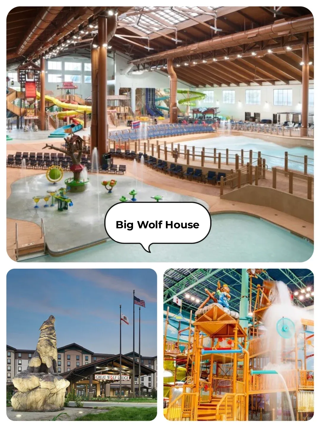 Staycations in the Bay Area: Top Short-Trip Destinations Near You