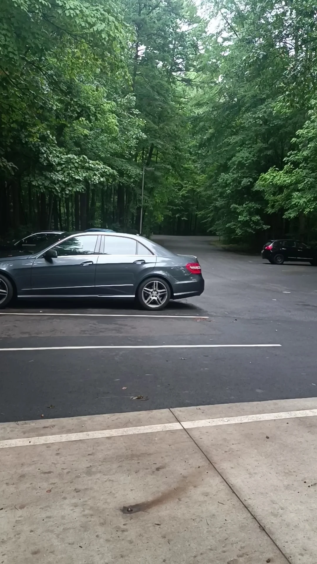 Charlotte's Inner-City Park: Idlewild