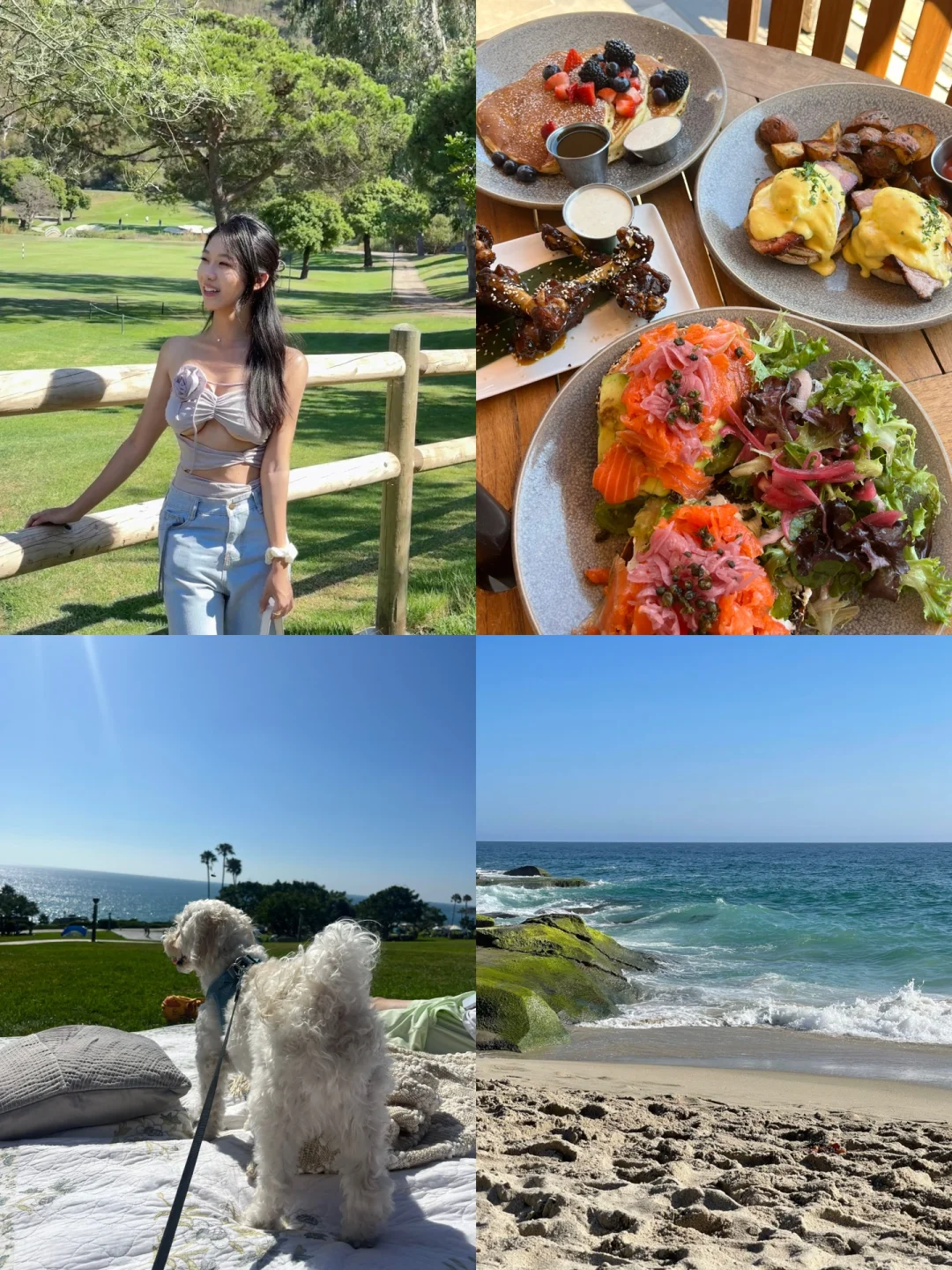 Los Angeles Jellyfish Sea ⛱️ Kid-Friendly Beach + Brunch