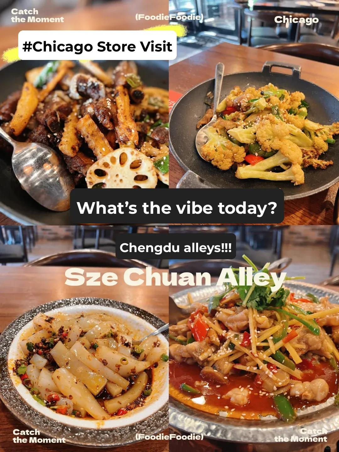 "Chicago's Super Delicious Sichuan Cuisine Restaurant 🥄"