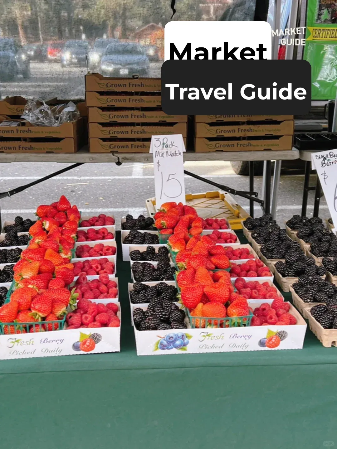 Exploring the Morning Market in San Jose, Silicon Valley...