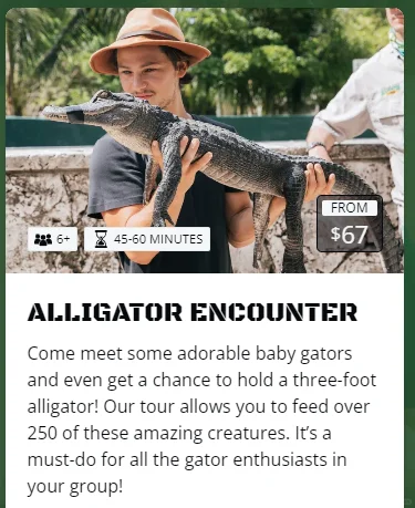 "Friends in Miami, who’s up for seeing some alligators?"