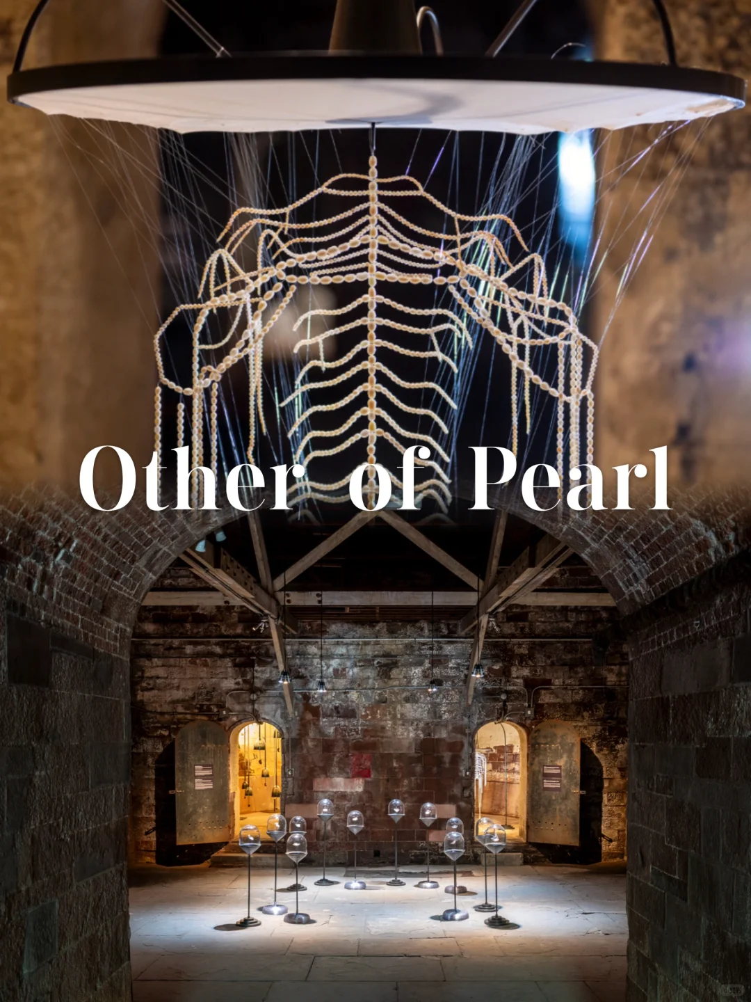 NYC New Exhibit | The Origin Story of the Climate Crisis