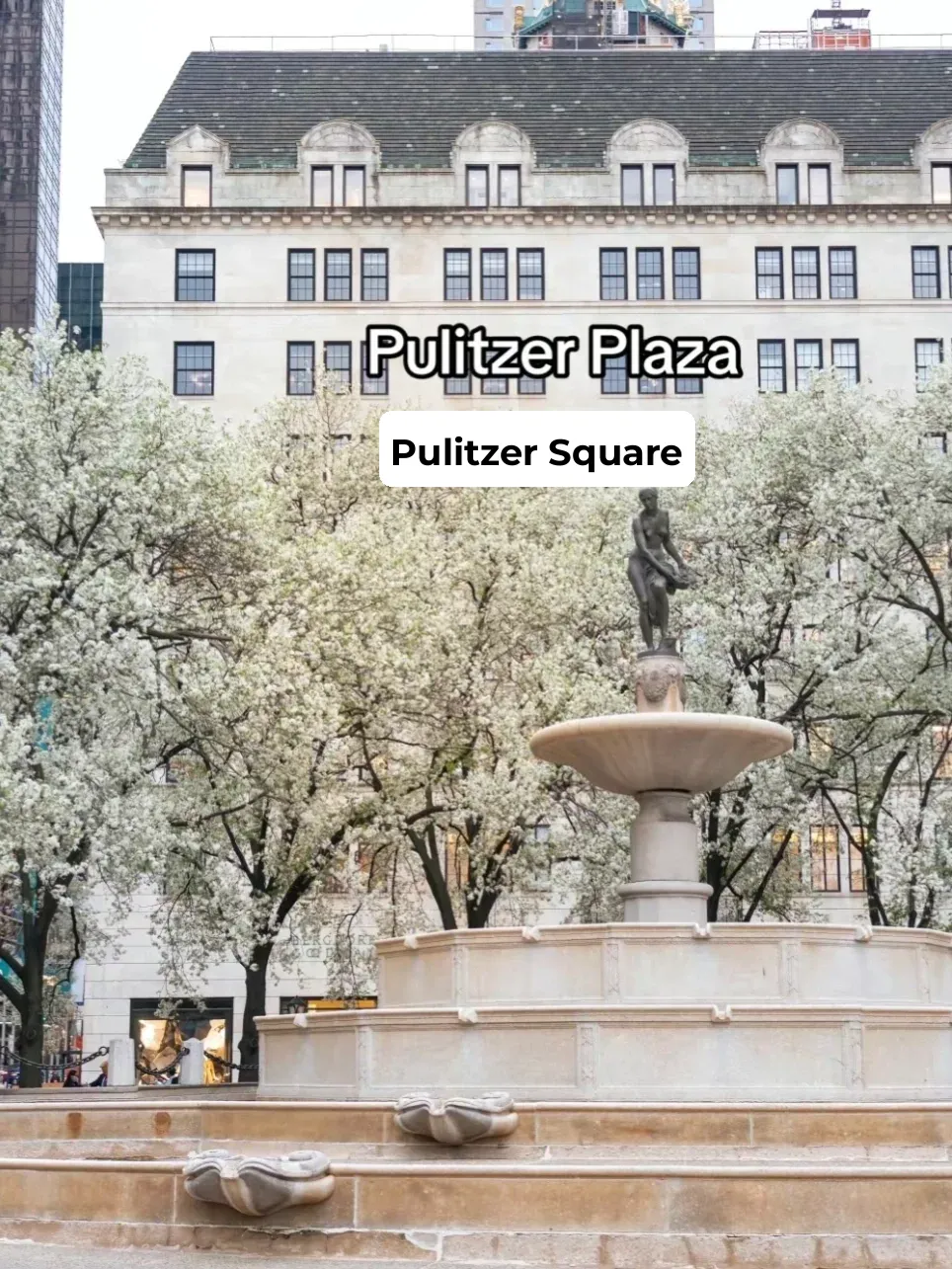 🌸 Save This! Must-Visit Cherry Blossom Spots in New York for Your Spring Trip 🌸