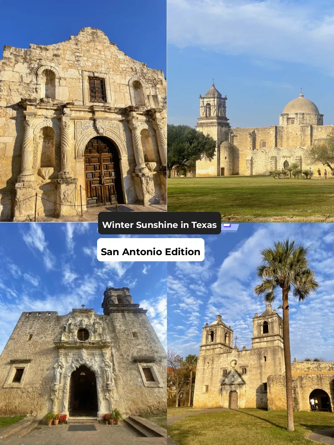 Winter Sunshine in Texas ☀️ San Antonio Edition