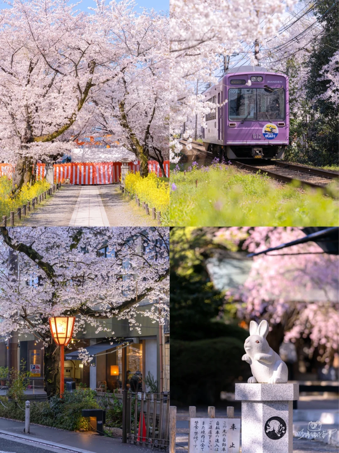 Kansai Travel Guide | My Solo 9-Day, 8-Night Kansai Graduation Trip