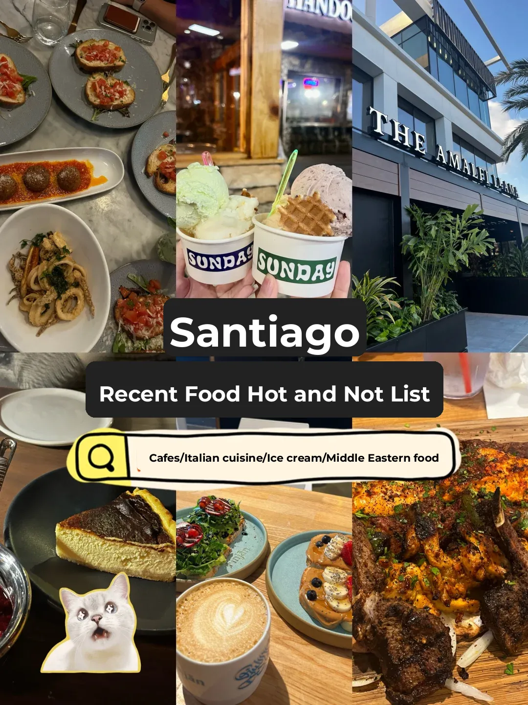 Recent Food Hits & Misses in San Diego | Stunning Turkish Café