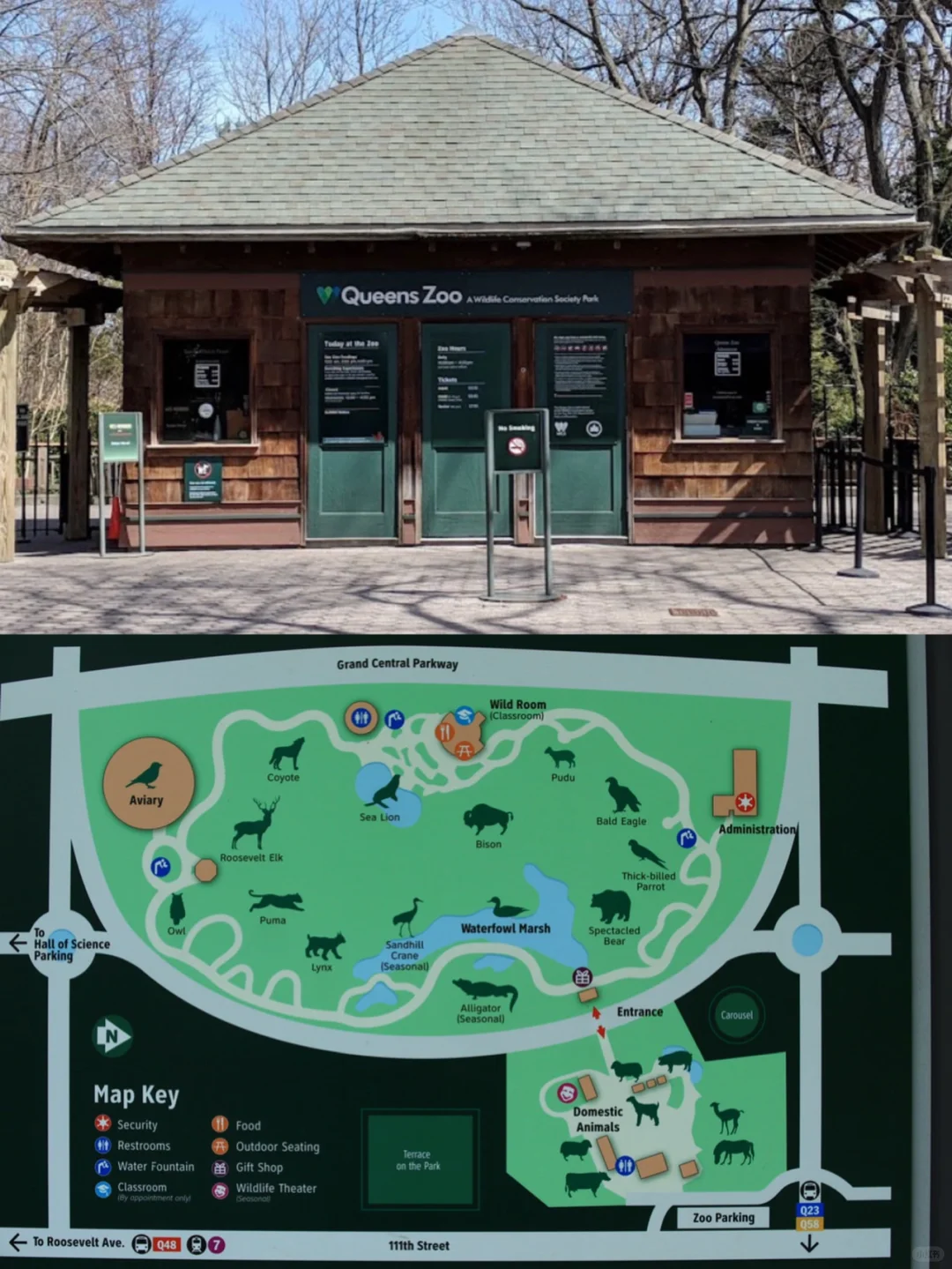 Top Spot for Family Fun: Queens Zoo & Playground in NYC