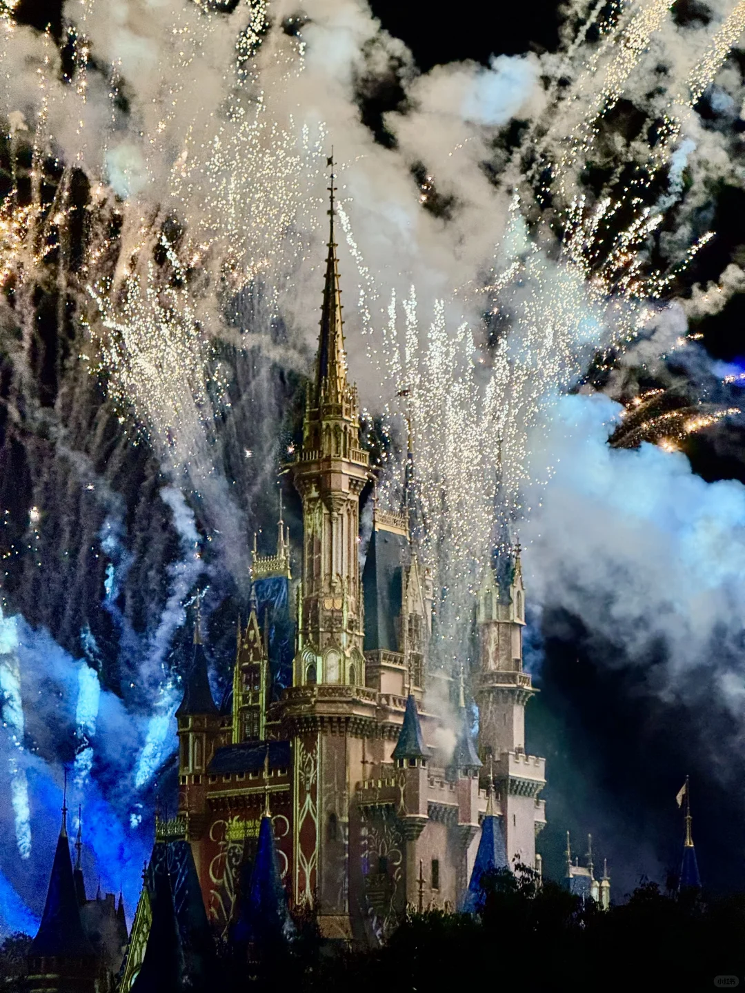 Conquer These Must-Do Rides 🫡 Orlando Disney's Magic Kingdom Will Bring You Joy