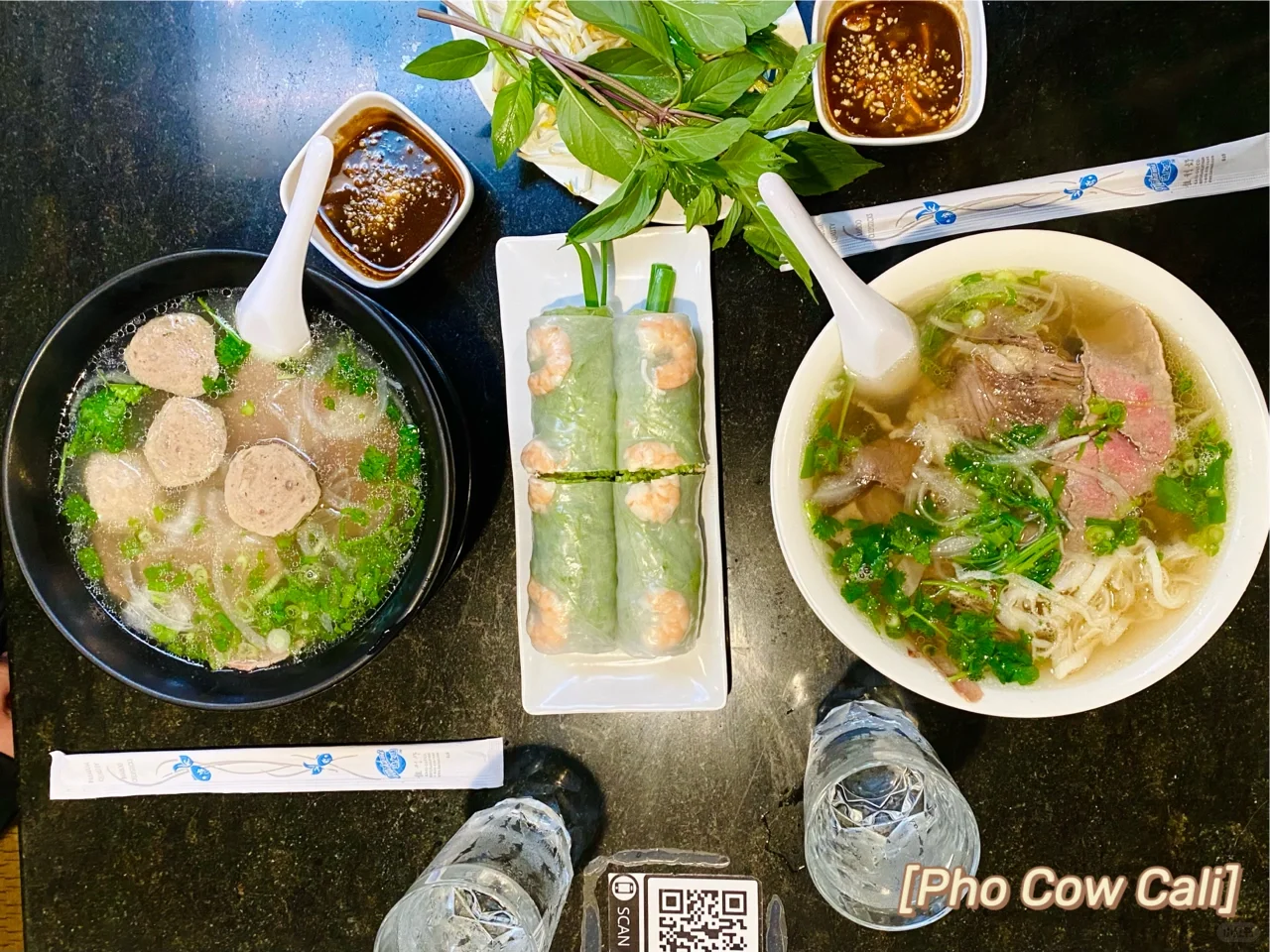 San Diego Food Guide | Vietnamese Pho Spot Check in SD | Recommendations & Pitfalls #2