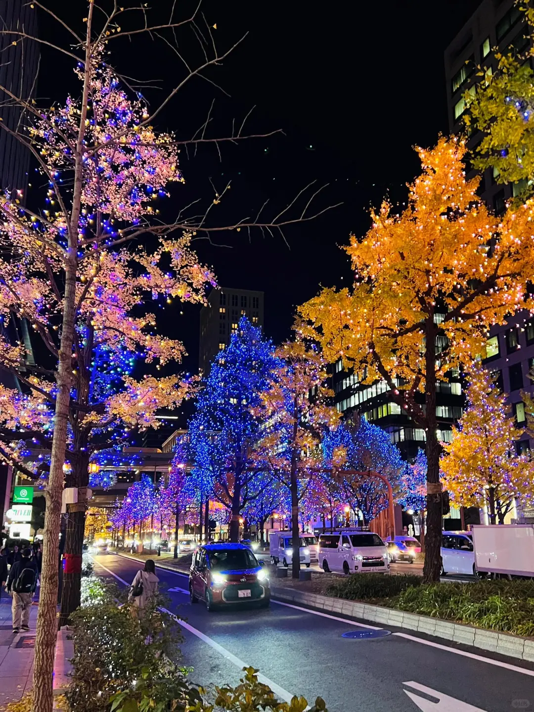 2024 Osaka & Kyoto 🎄 Christmas Light-Up / Market Guide