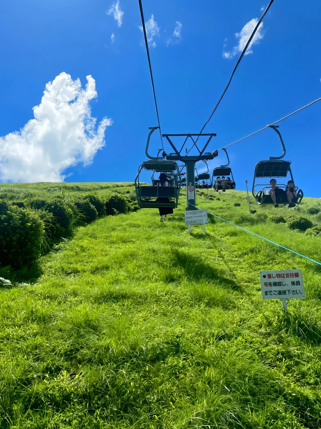 Local Insider Picks丨Izu Omuro Mountain + Capybara Day Trip