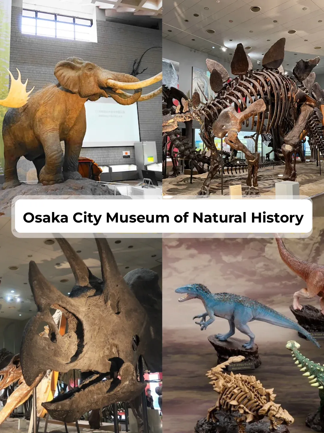 Summer Travel with Kids! Turn Them into Angels in a Flash!