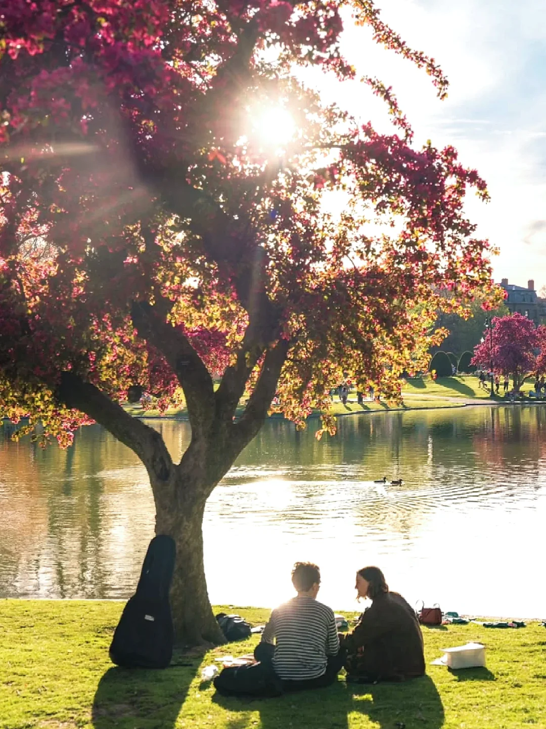 Next Month in Boston: Worth a Special Trip Just for This!!!