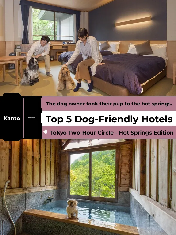 Pet Parents' Picks: Top 5 Dog-Friendly Onsen Ryokan Near Tokyo