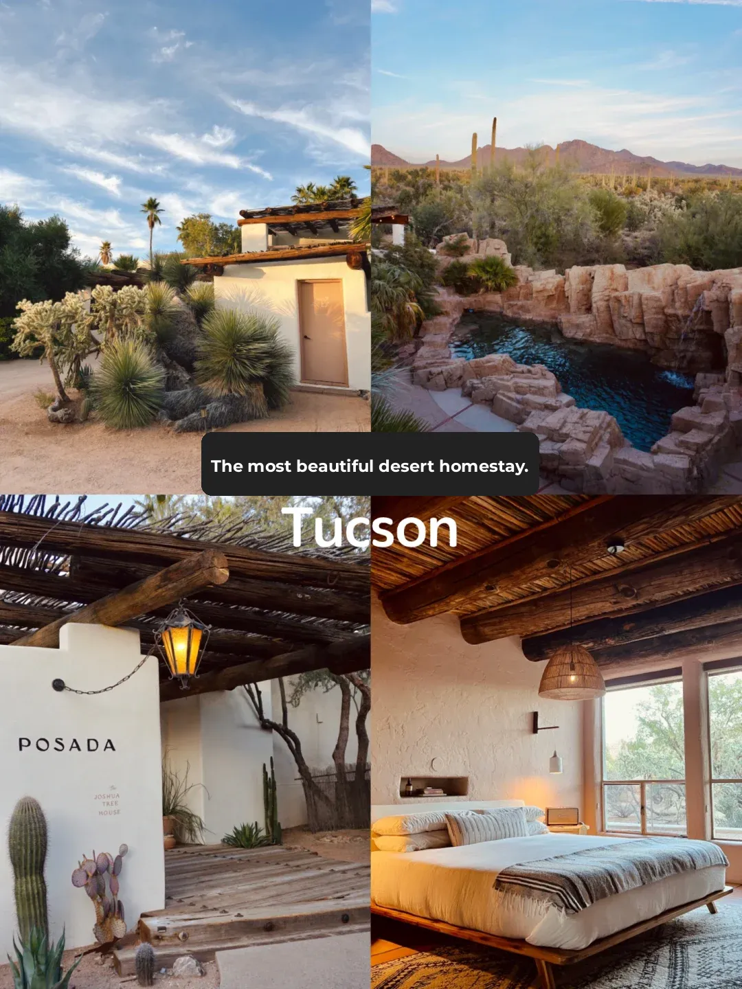 Arizona | The Most Beautiful Desert Homestay in Tucson