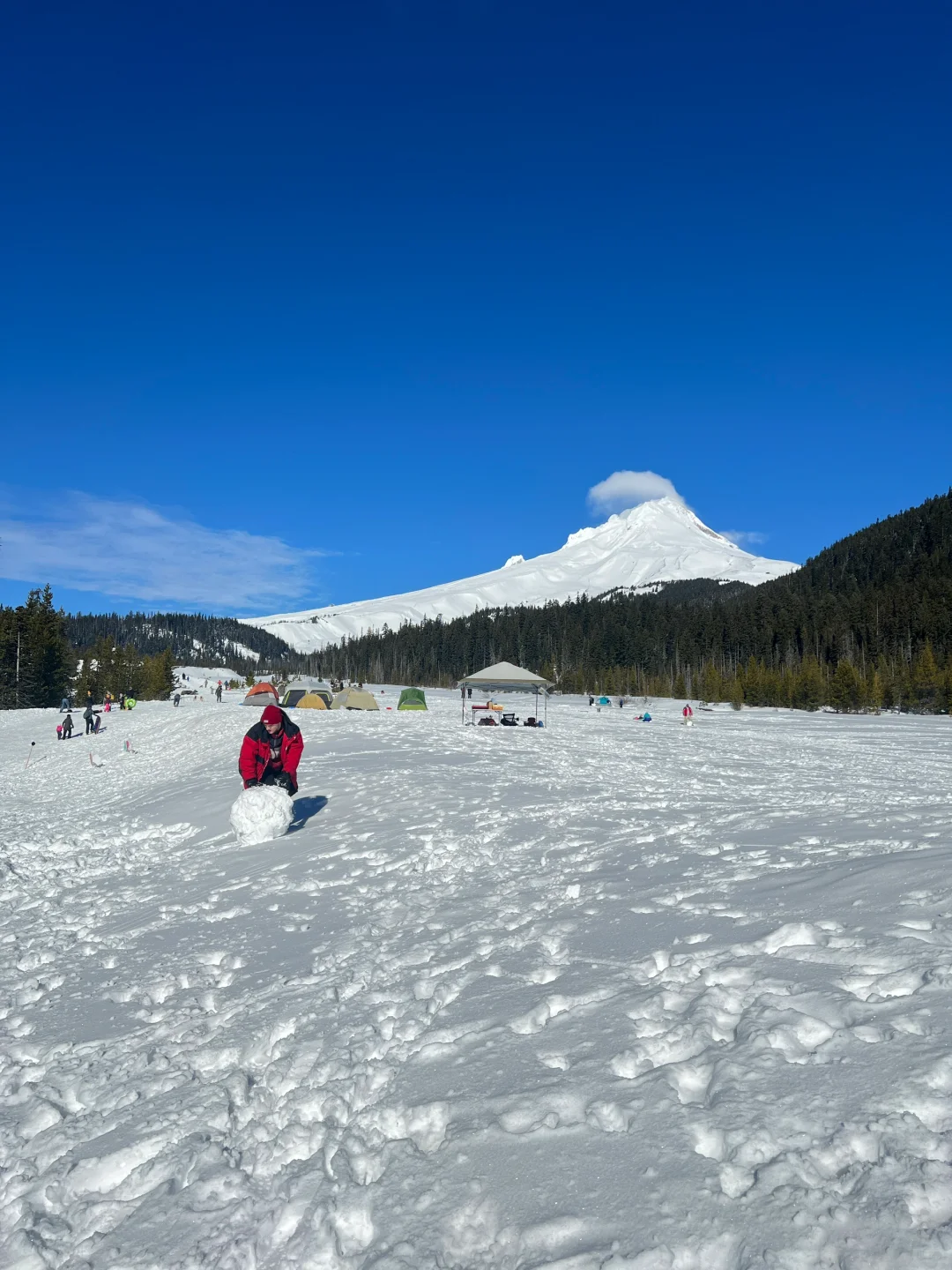 Standing Beneath the Snow-Capped Mountains