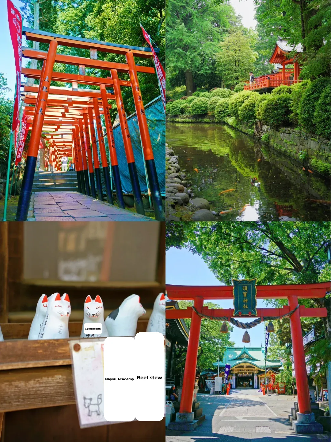 Tokyo! 🔥 4 Hidden Shrines I Could Visit a Million Times ⛩️