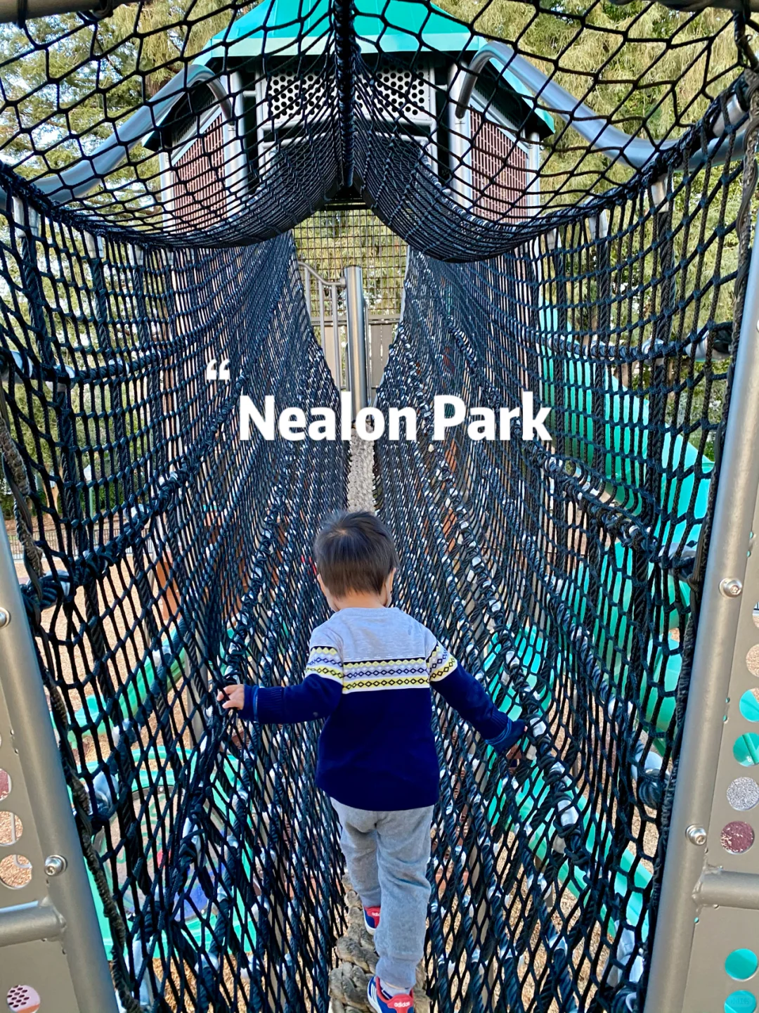 Bay Area Family Fun | Nealon Park: A Playground Paradise
