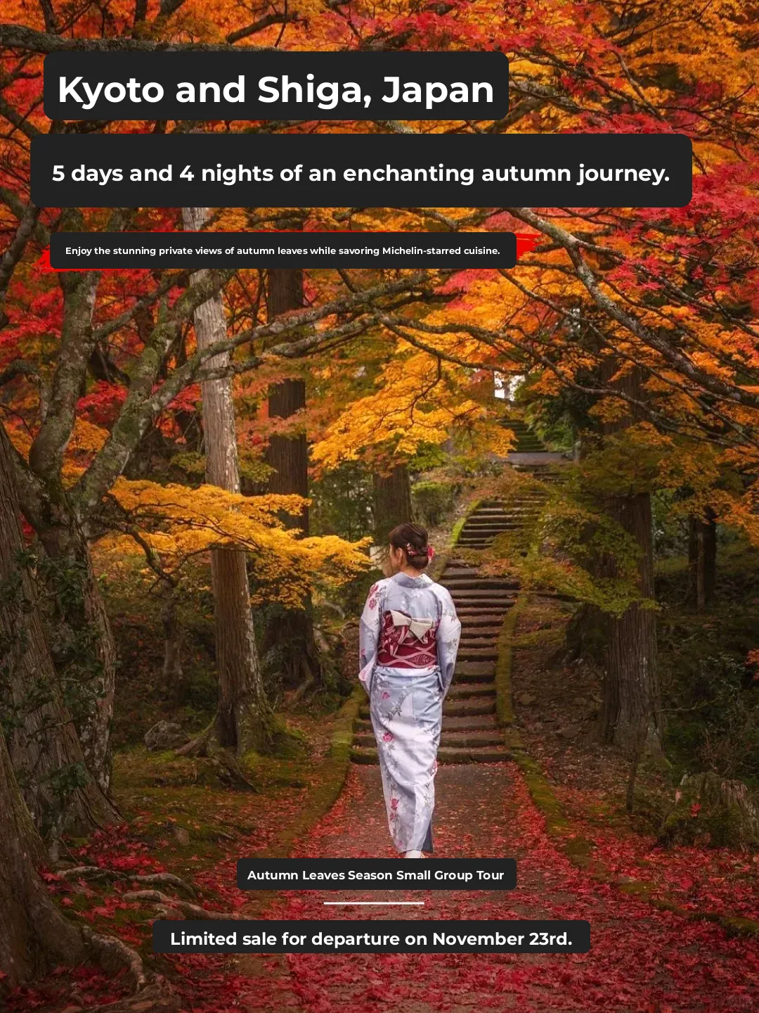 🍁 Kyoto's Fall Foliage Season: A Once-in-a-Lifetime Experience with Exclusive Small Group Tours, Early Birds Get the Best Deals!