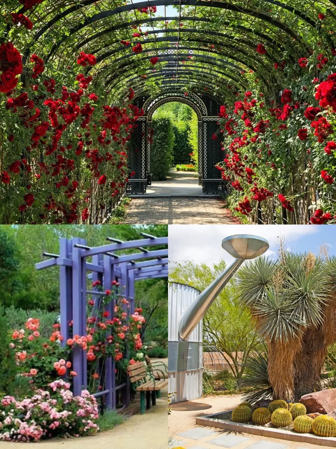 Las Vegas 🌼 Spring Flower Viewing Guide 🌈 Experience the Spring Vibes in Vegas