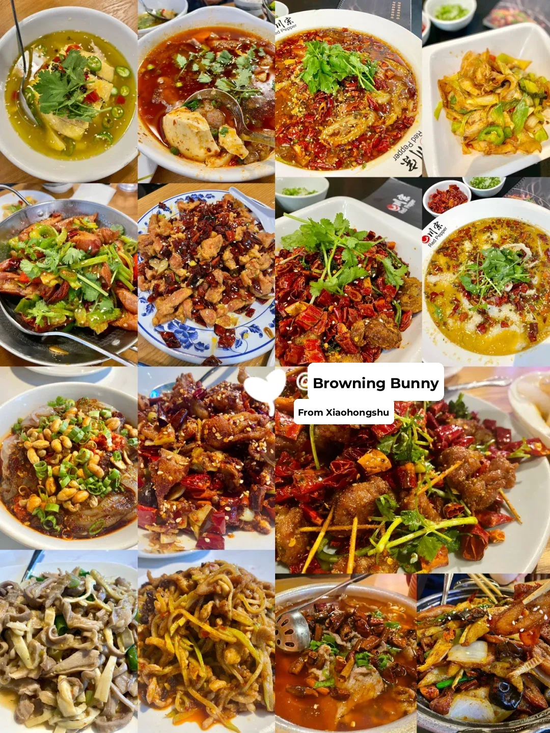 Seattle Sichuan Eats 2️�️🌶️ Authentic Chuan Cuisine Approved by Chongqing Locals