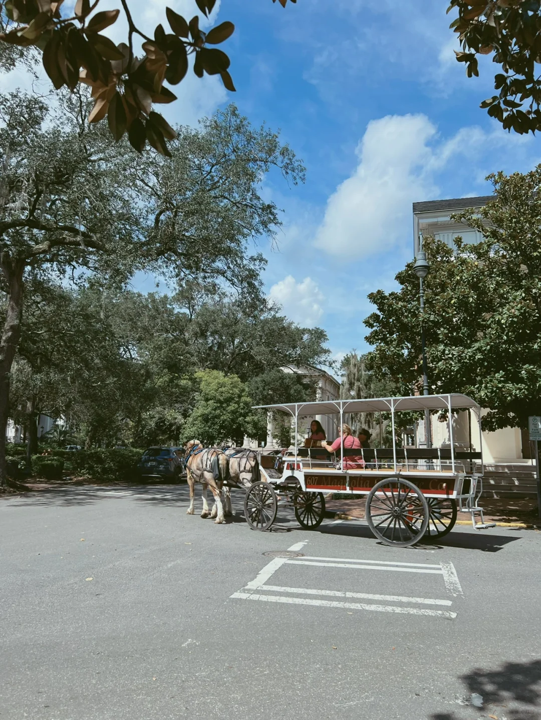 Savannah's Red and Black List: The Best and Worst of Savannah