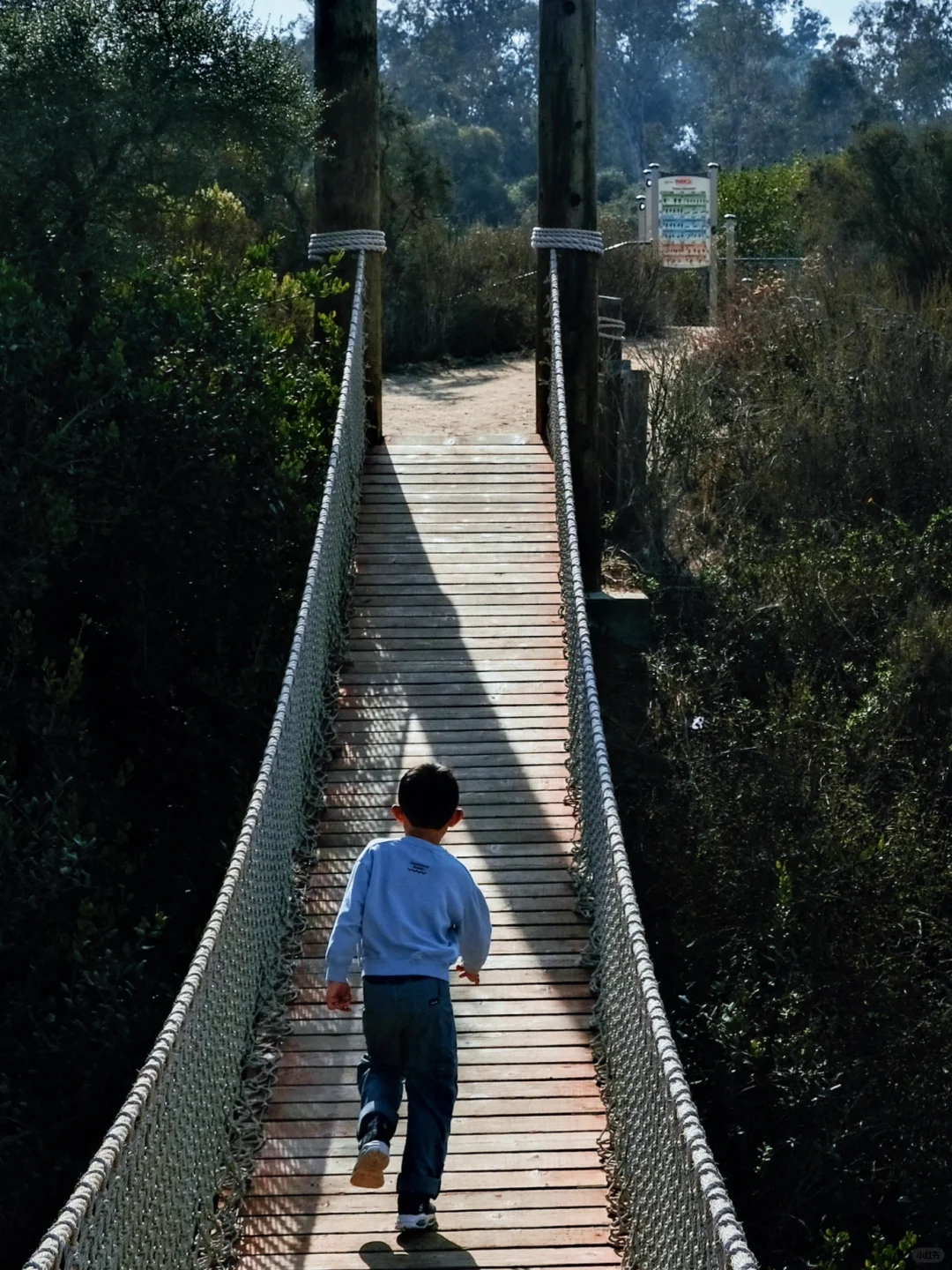 San Diego | The Hidden Suspension Bridge Park 🌳✨🌉