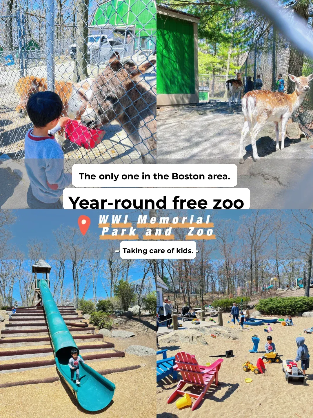 🔅 Boston with Kids | A Year-Round Free & Fun Zoo