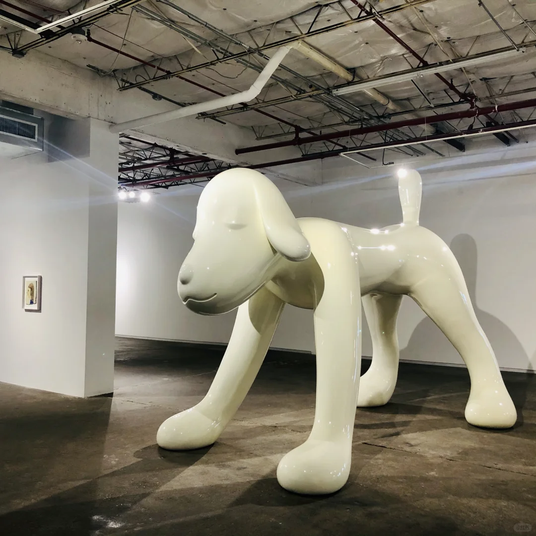 Nara Yoshitomo Exhibition in Dallas
