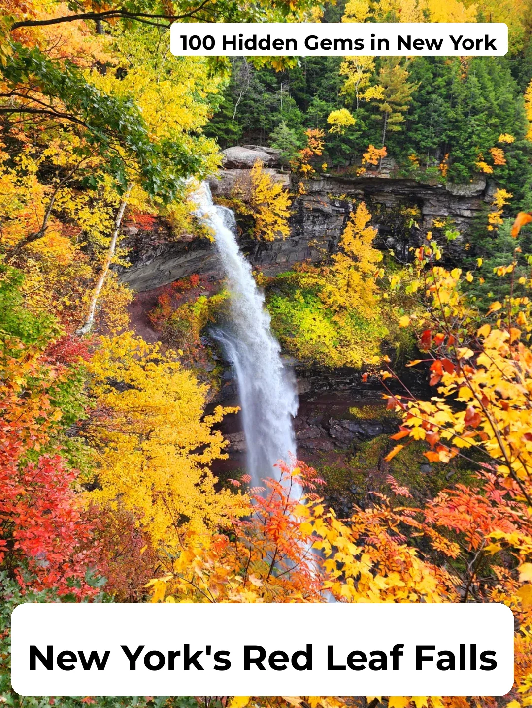 Huntington, NY's Most Stunning Fall Foliage is Here! 🍁 Top Spots to Visit