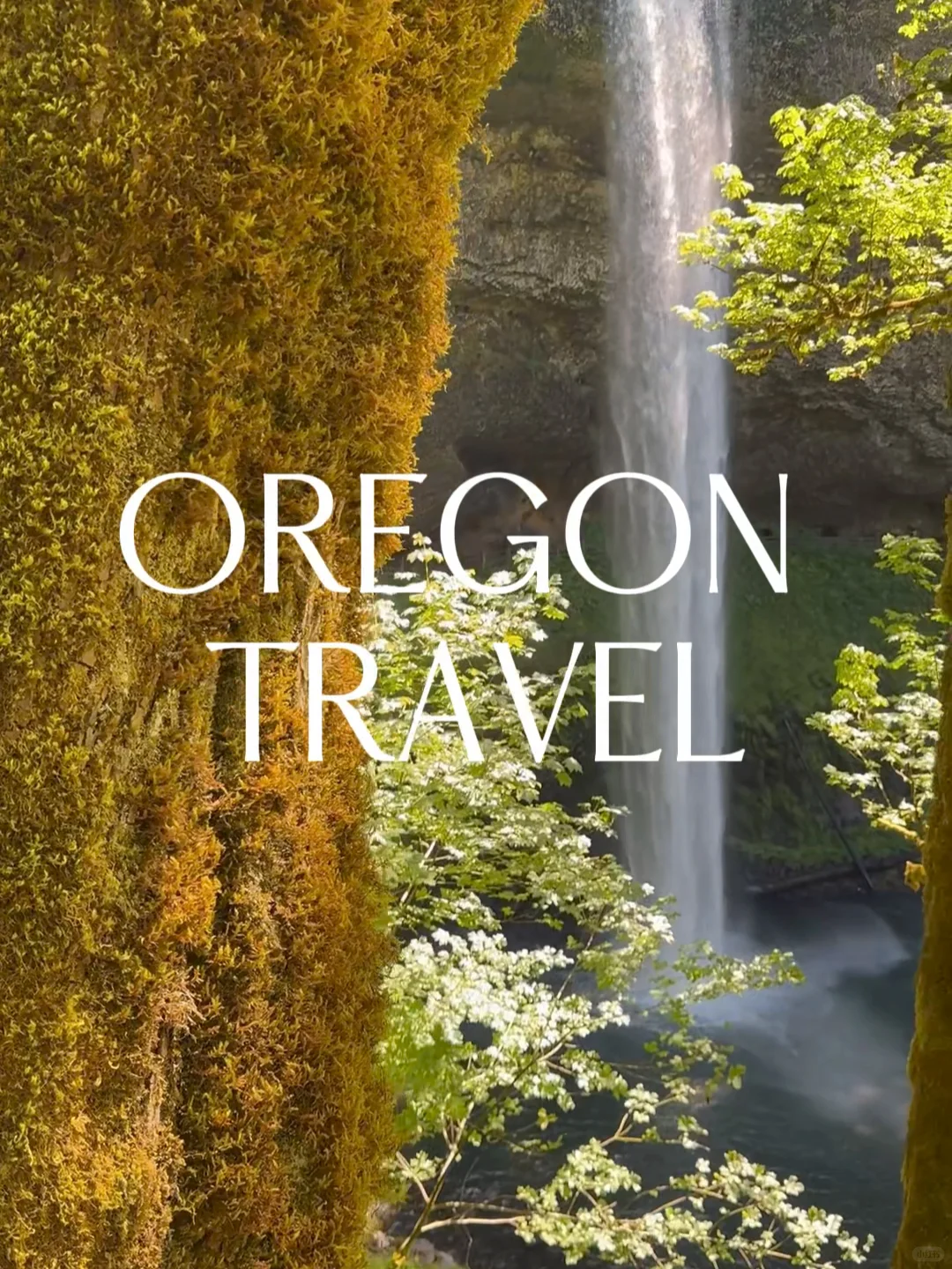 Must-See Attractions in Oregon