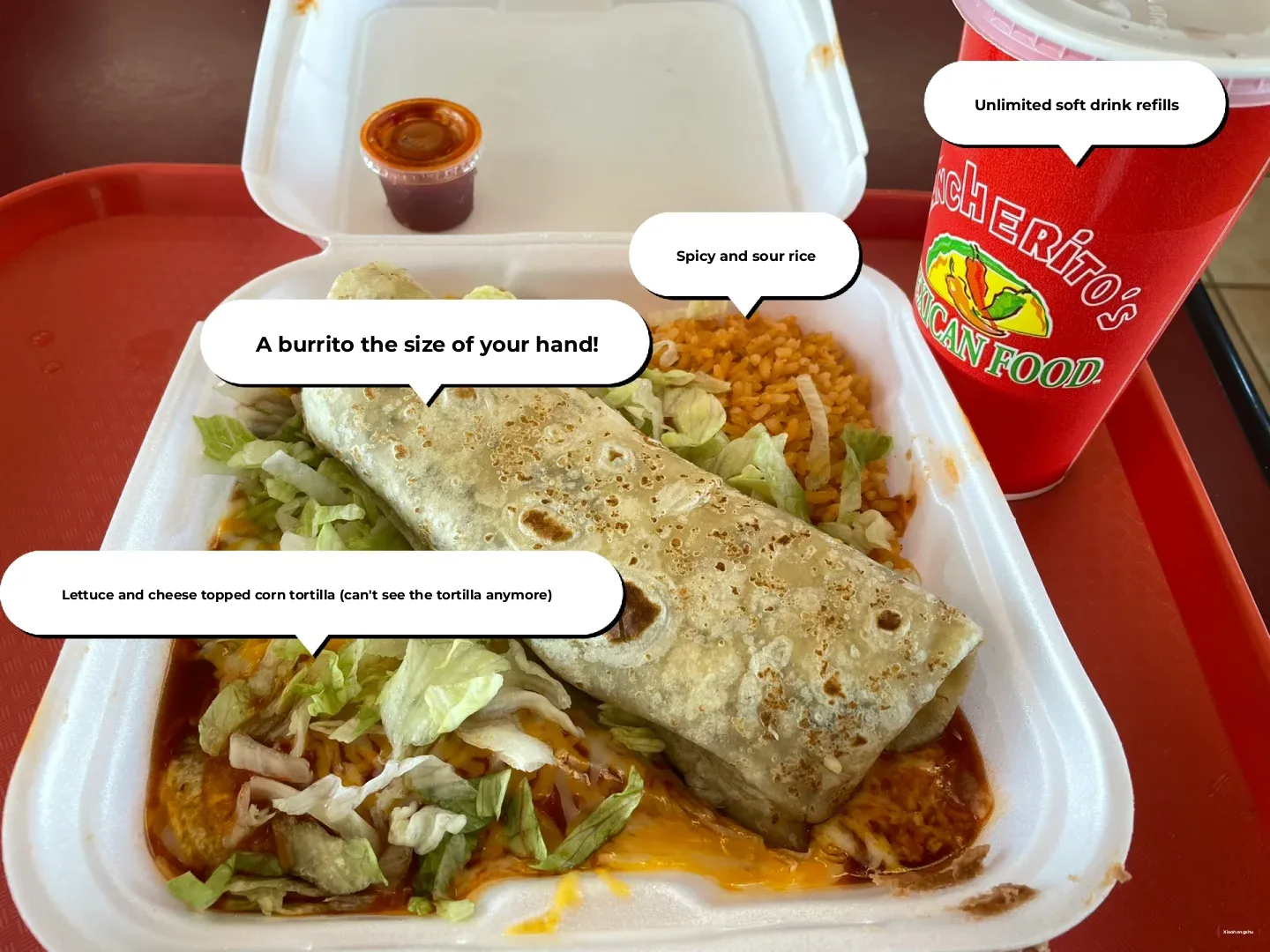 North American Workday Meal 1: Giant Mexican Beef Burrito