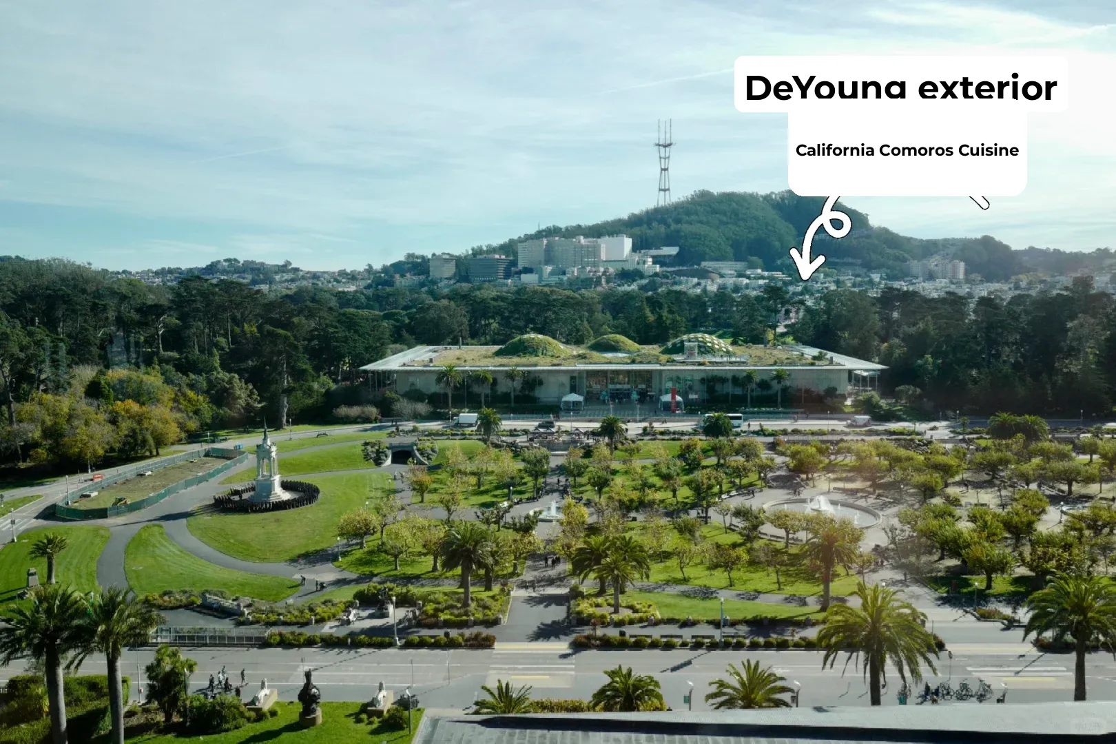 Freebie Alert! 🆓🆓🆓 Explore San Francisco's California Academy of Sciences