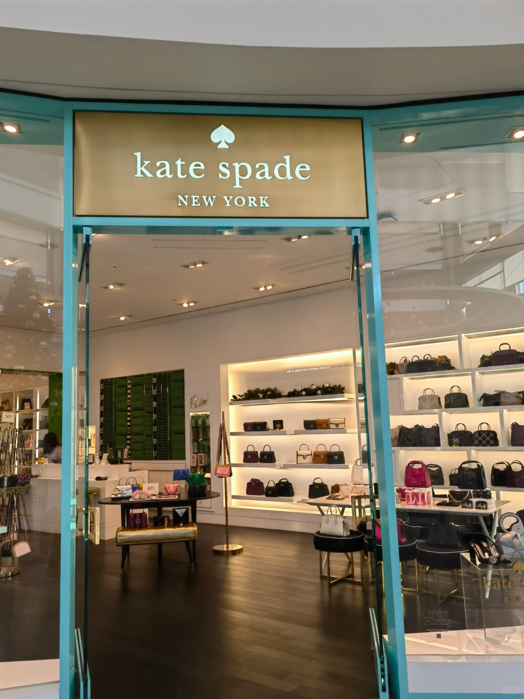 Black Friday Shopping Spree at Poet's Square, Long Island, NYC