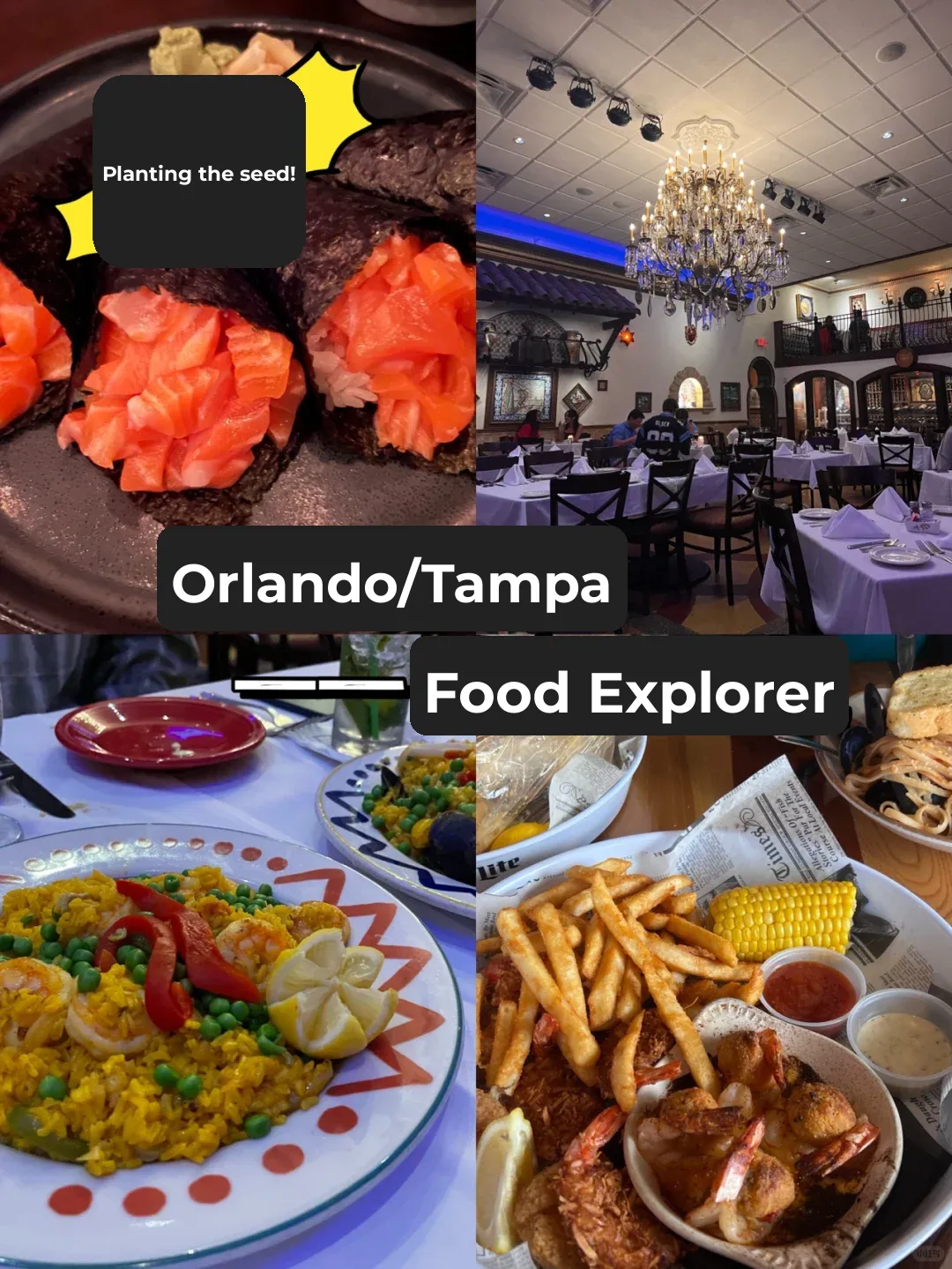Orlando/Tampa｜Finding Good Eats in This Food Desert Is So Hard!