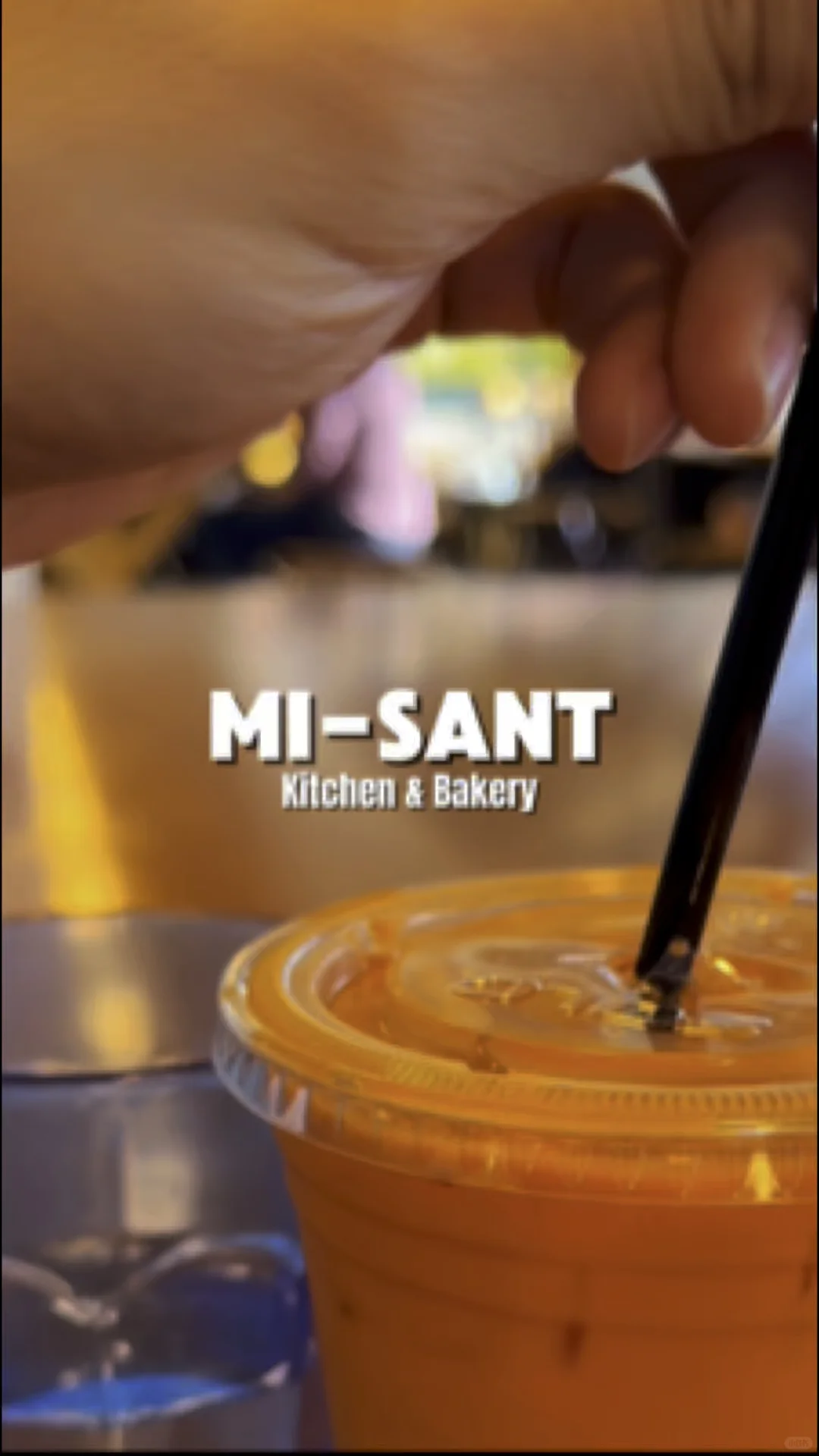 Mi-Sant (Vietnamese Bánh Mì)