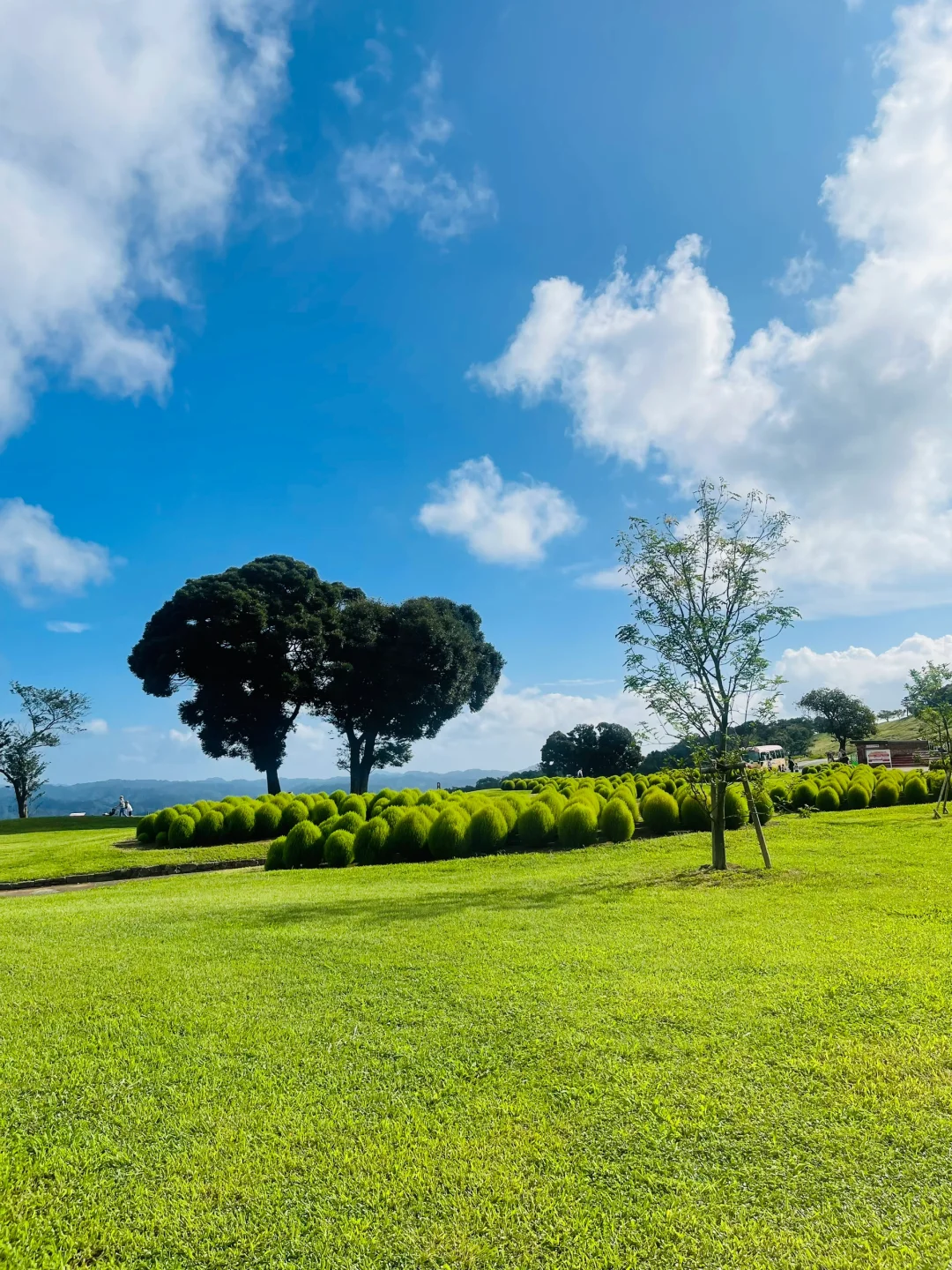 Hidden Gem Family Trip in Japan | This Beautiful Place is a Secret No More